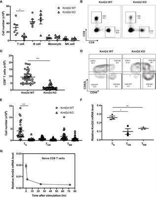 Lysine methyltransferase Kmt2d regulates naive CD8+ T cell activation-induced survival